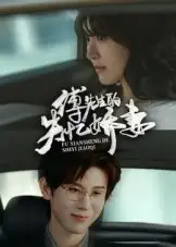 傅先生的失忆娇妻（50集）王熠南&喻嘉林海报