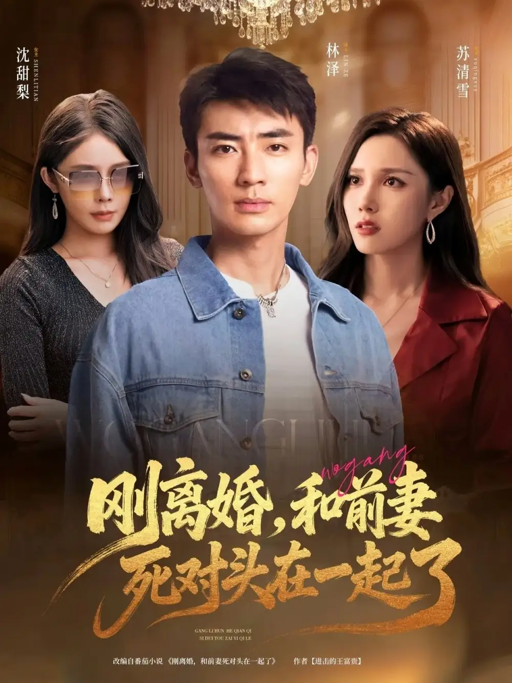 刚离婚和前妻死对头在一起 (73集)海报