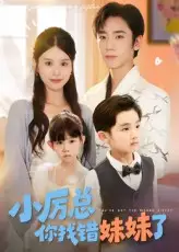 小厉总你找错妹妹了（52集）海报