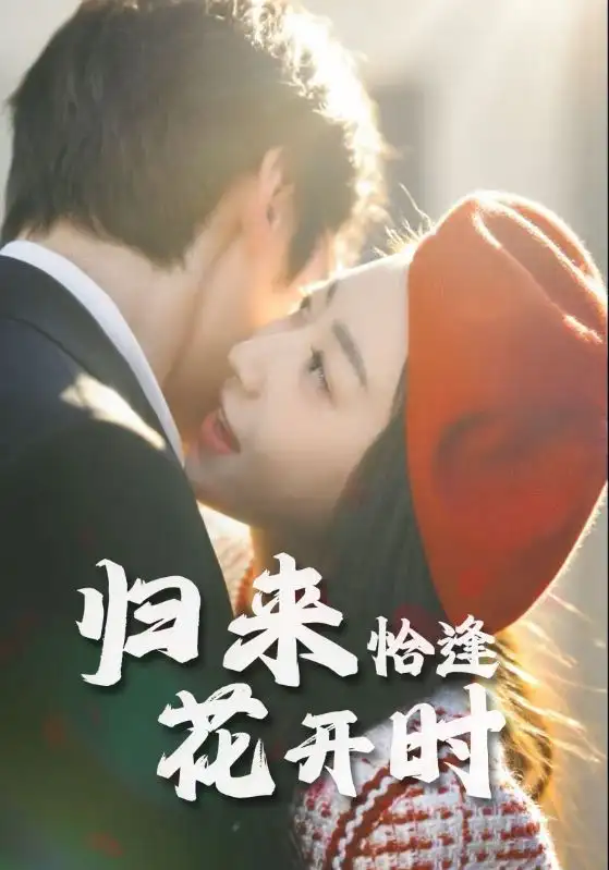 归来恰逢花开时（62集）海报