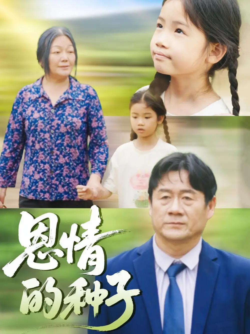 恩情的种子（29集）海报