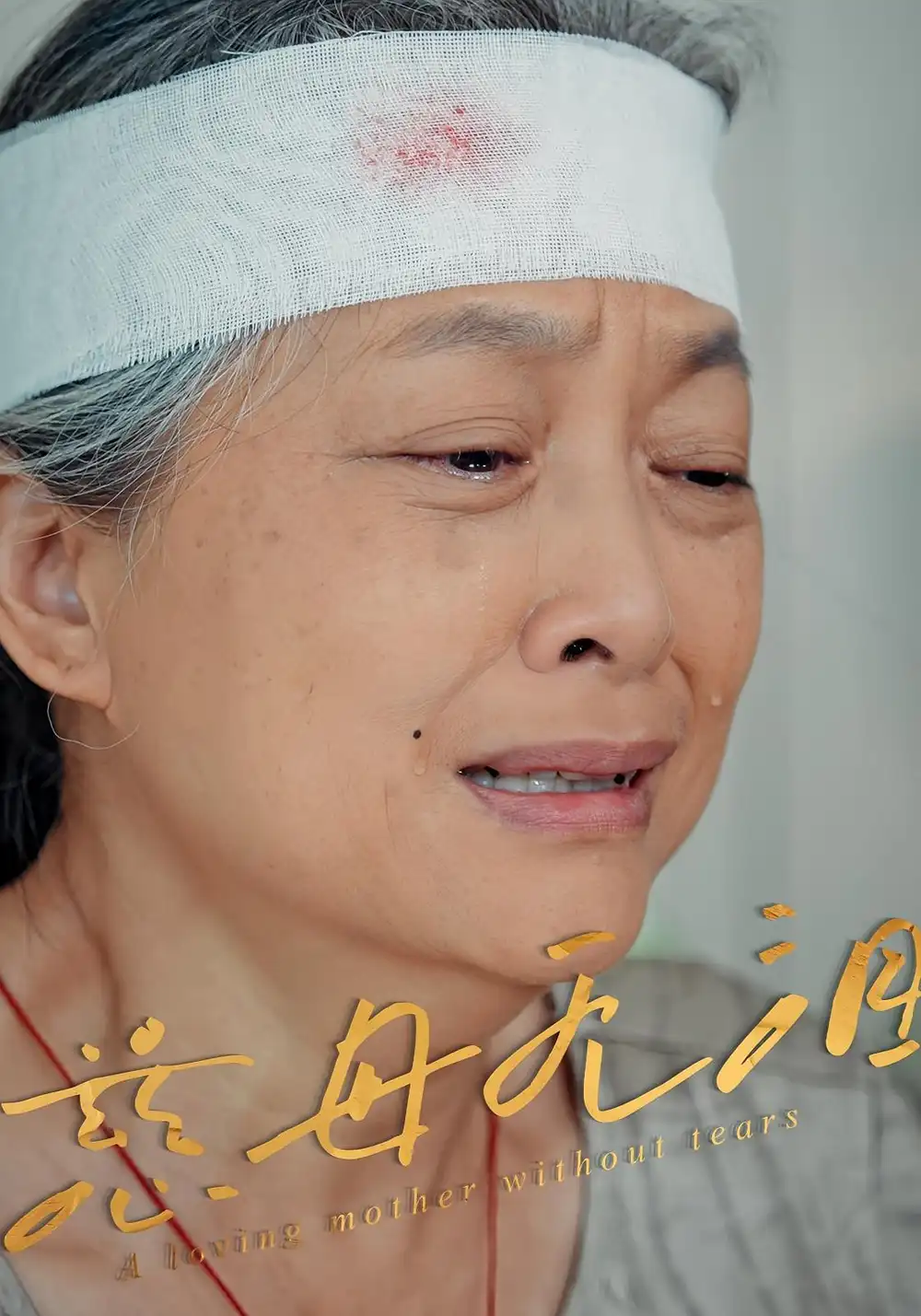短剧《慈母无泪》全集免费在线观看