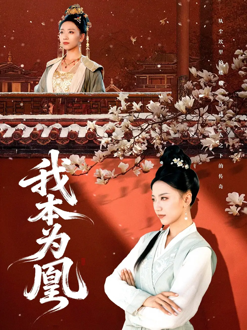 短剧《我本为凰》完整剧情全集免费在线观看