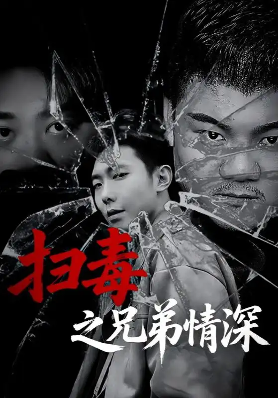 扫毒之兄弟情深（50集）海报