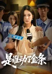 是谁动了金条（56集）郭怡凡&郑铂瀚海报