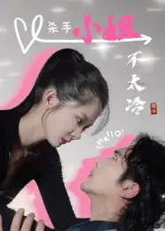 杀手小姐不太冷（45集）冀娟海报