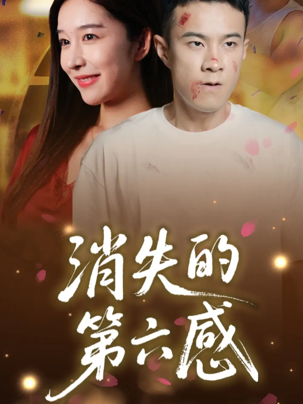 消失的第六感（29集）海报