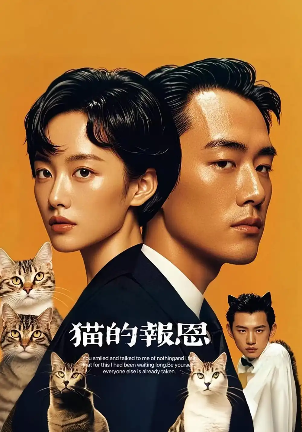 短剧《猫的报恩》高清完整版全集免费在线观看