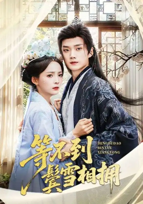 短剧《等不到鬓雪相拥》高清完整版全集免费在线观看