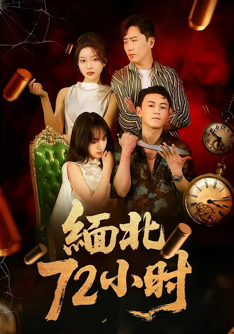 缅北72小时（43集）海报