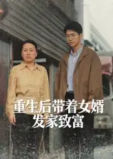 重生后带着女婿发家致富（41集）王晨曦&沈颖海报