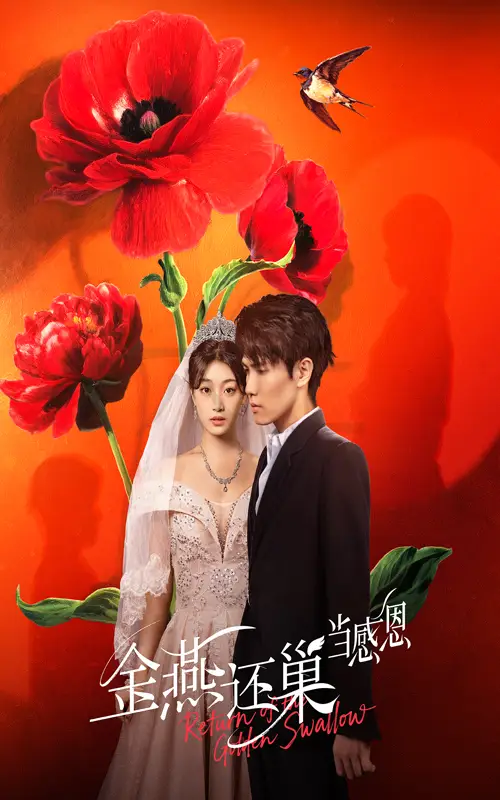 金燕还巢当感恩（55集）晓杨&刘曙瑞海报