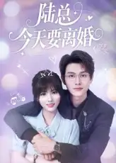 陆总今天要离婚（81集）陈凯洲&李泫逸海报