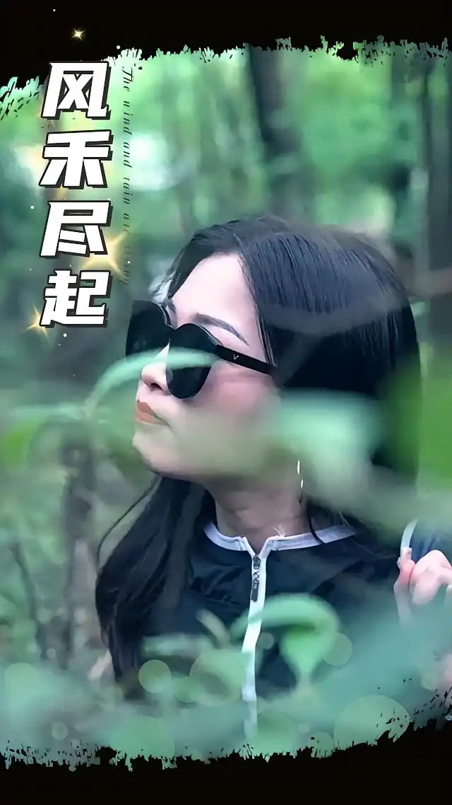 风禾尽起（31集）海报