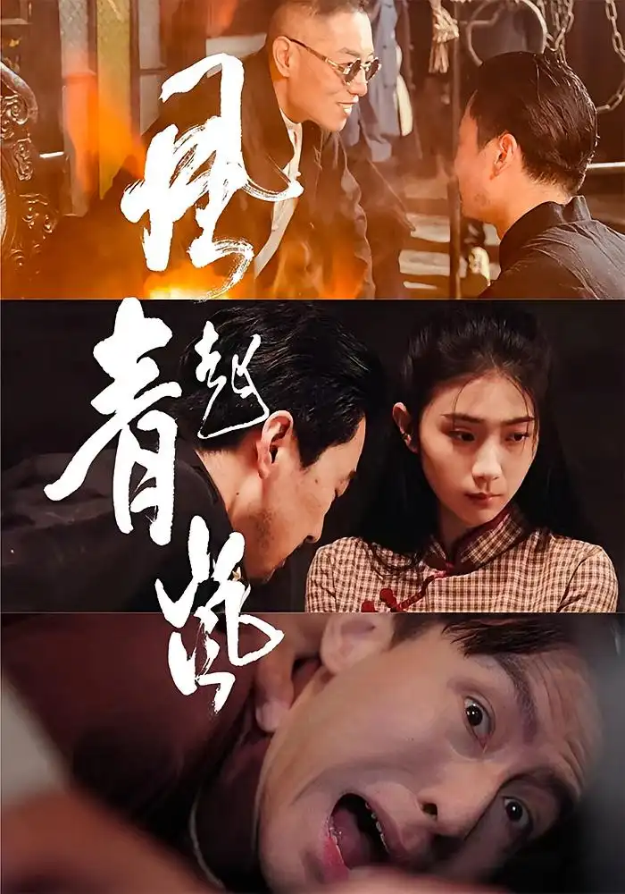 短剧《风起青岚》全集免费在线观看