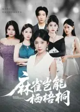 短剧《麻雀岂能栖梧桐》高清完整版全集免费在线观看