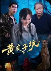 黄皮子坟（35集）海报