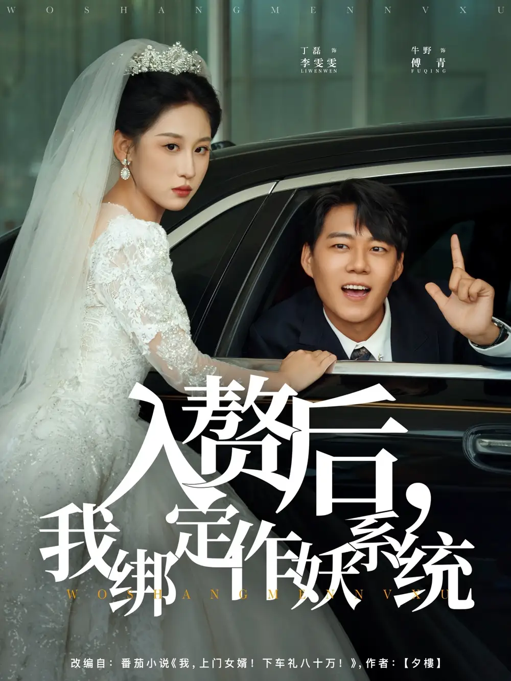 入赘后我绑定作妖系统（81集）丁磊&牛野海报