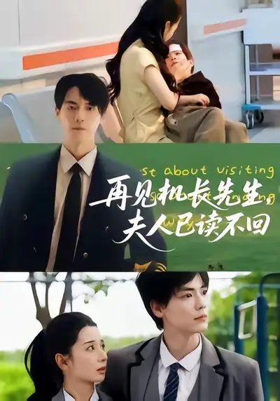 短剧《再见机长先生夫人已读不回》完整剧情全集免费在线观看