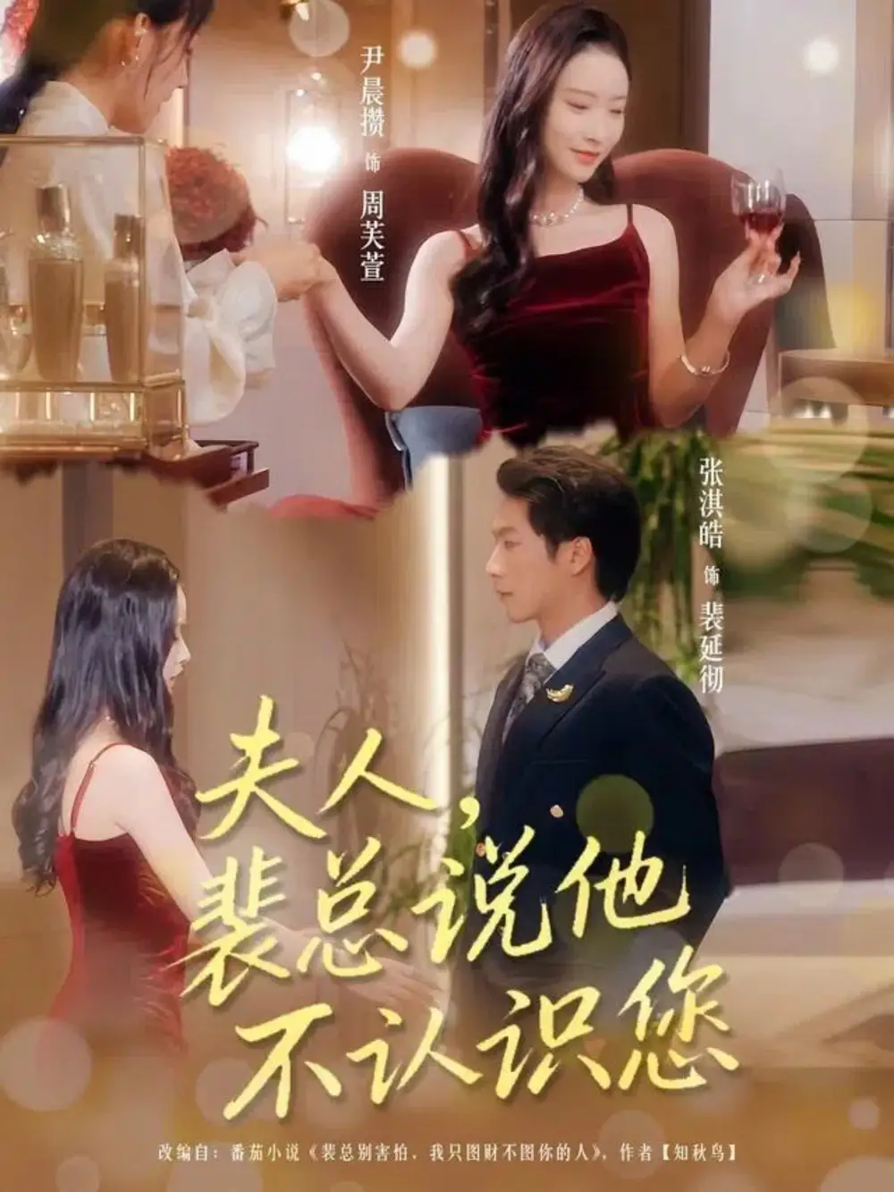 短剧《夫人裴总说他不认识您》完整剧情全集免费在线观看