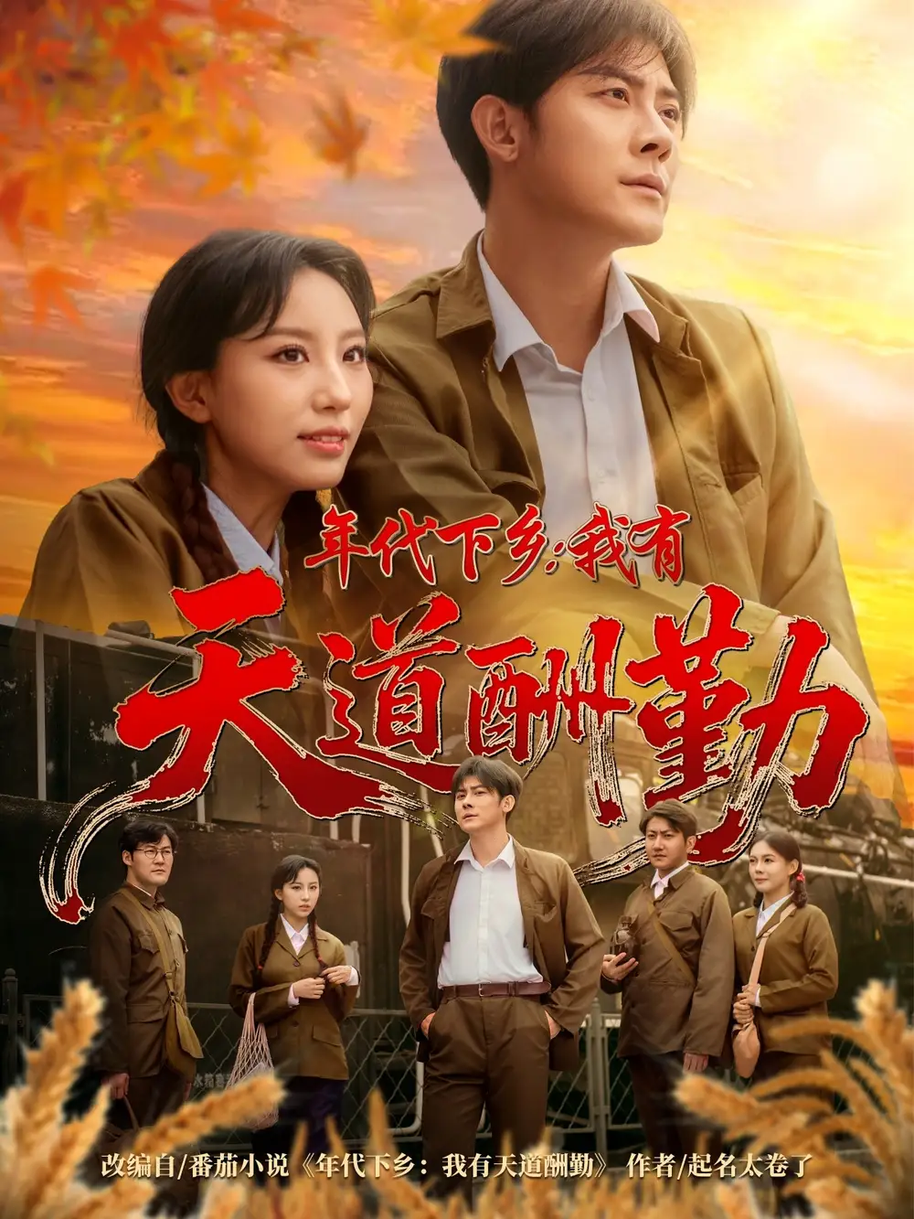 短剧《年代下乡我有天道酬勤》完整剧情全集免费在线观看