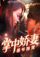 掌中娇妻墨爷独宠（30集）棠夏&庞冉海报