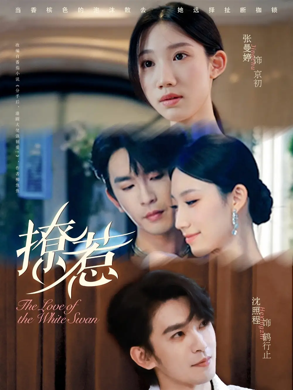撩惹（80集）张曼婷＆沈照程海报