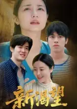 短剧《新渴望》完整剧情全集免费在线观看