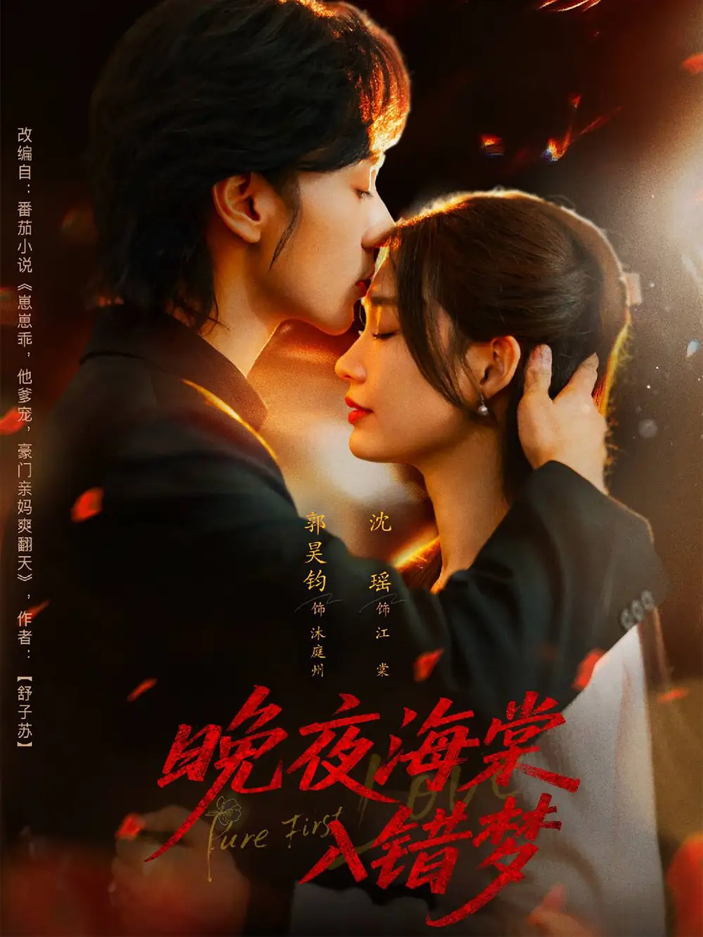 晚夜海棠入错梦（80集）郭昊钧＆沈瑶海报