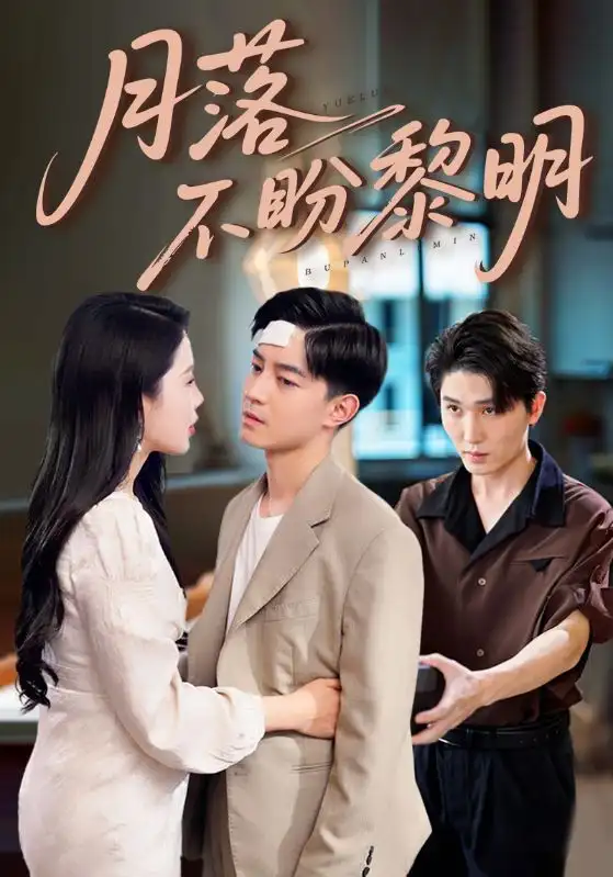 短剧《月落不盼黎明》完整剧情全集免费在线观看