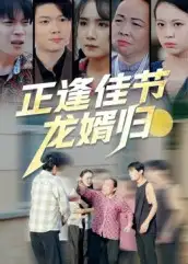 短剧《正逢佳节龙婿归》完整剧情全集免费在线观看
