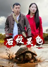 短剧《石纹灵龟》完整剧情全集免费在线观看