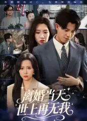 短剧《离婚当天世上再无我》完整剧情全集免费在线观看