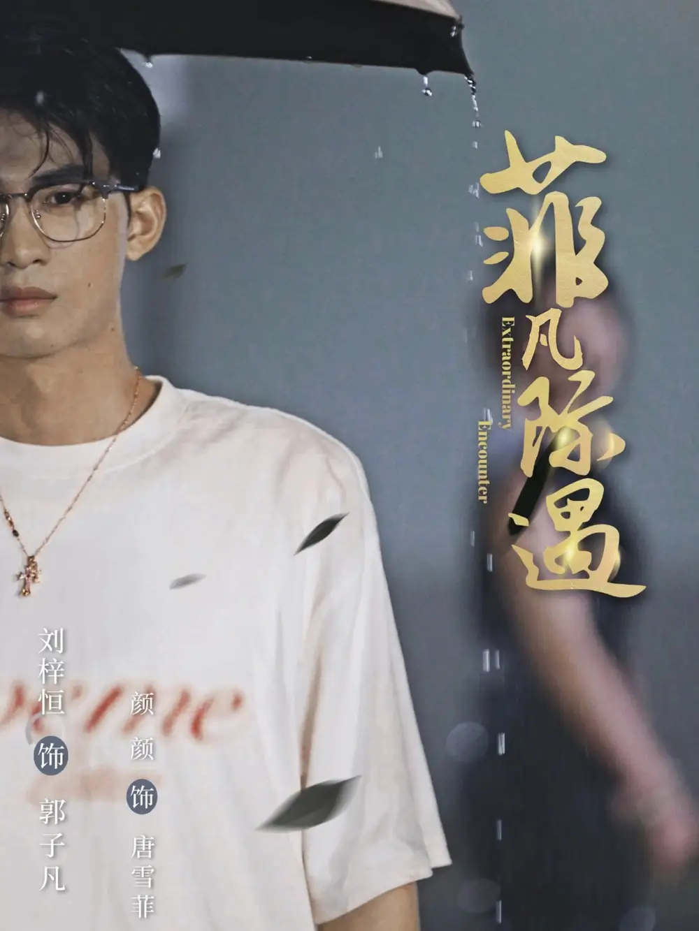 短剧《菲凡际遇》完整剧情全集免费在线观看