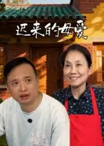 短剧《迟来的母爱》完整剧情全集免费在线观看