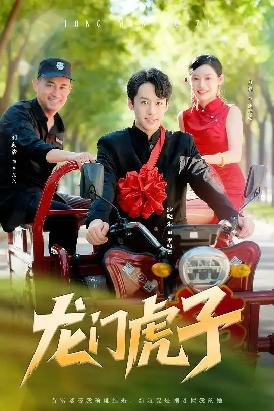 龙门虎子（72集）海报