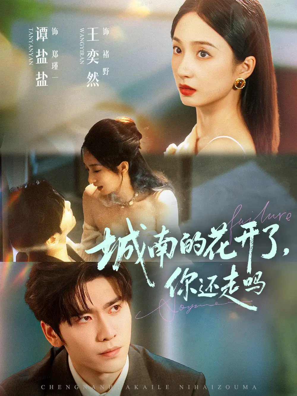 短剧《城南的花开了，你还走吗》完整剧情全集免费在线观看