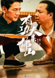 有功夫来佛山（12集）董崇华&蔡雪晴海报