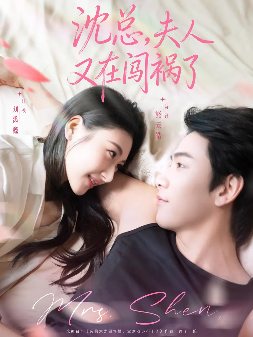 沈总，夫人又在闯祸了（79集）熊云皓＆刘禹鑫海报