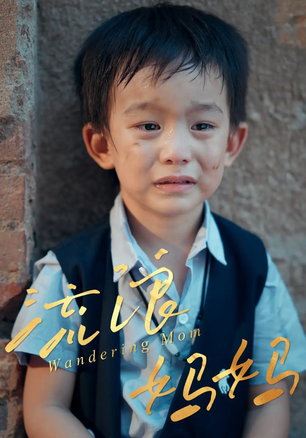 流浪妈妈(30集)高清海报图片 流浪妈妈(30集)海报