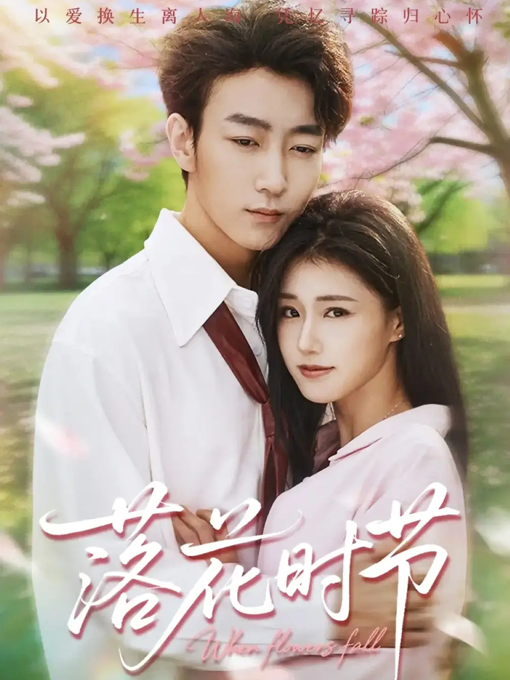 短剧《落花时节＆穿过时光说爱你》完整剧情全集免费在线观看