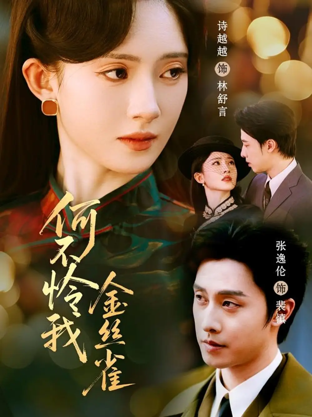短剧《何不怜我金丝雀》完整剧情全集免费在线观看