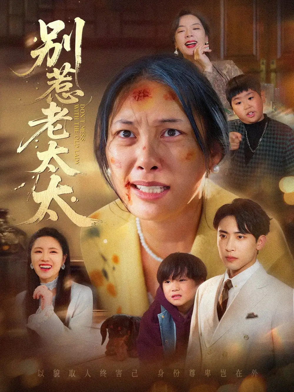 别惹老太太＆谁说她没人撑腰（68集）陈柯宇＆赵丹海报