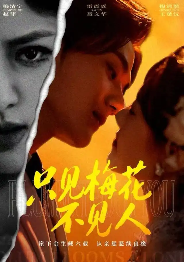 短剧《只见梅花不见人》完整剧情全集免费在线观看