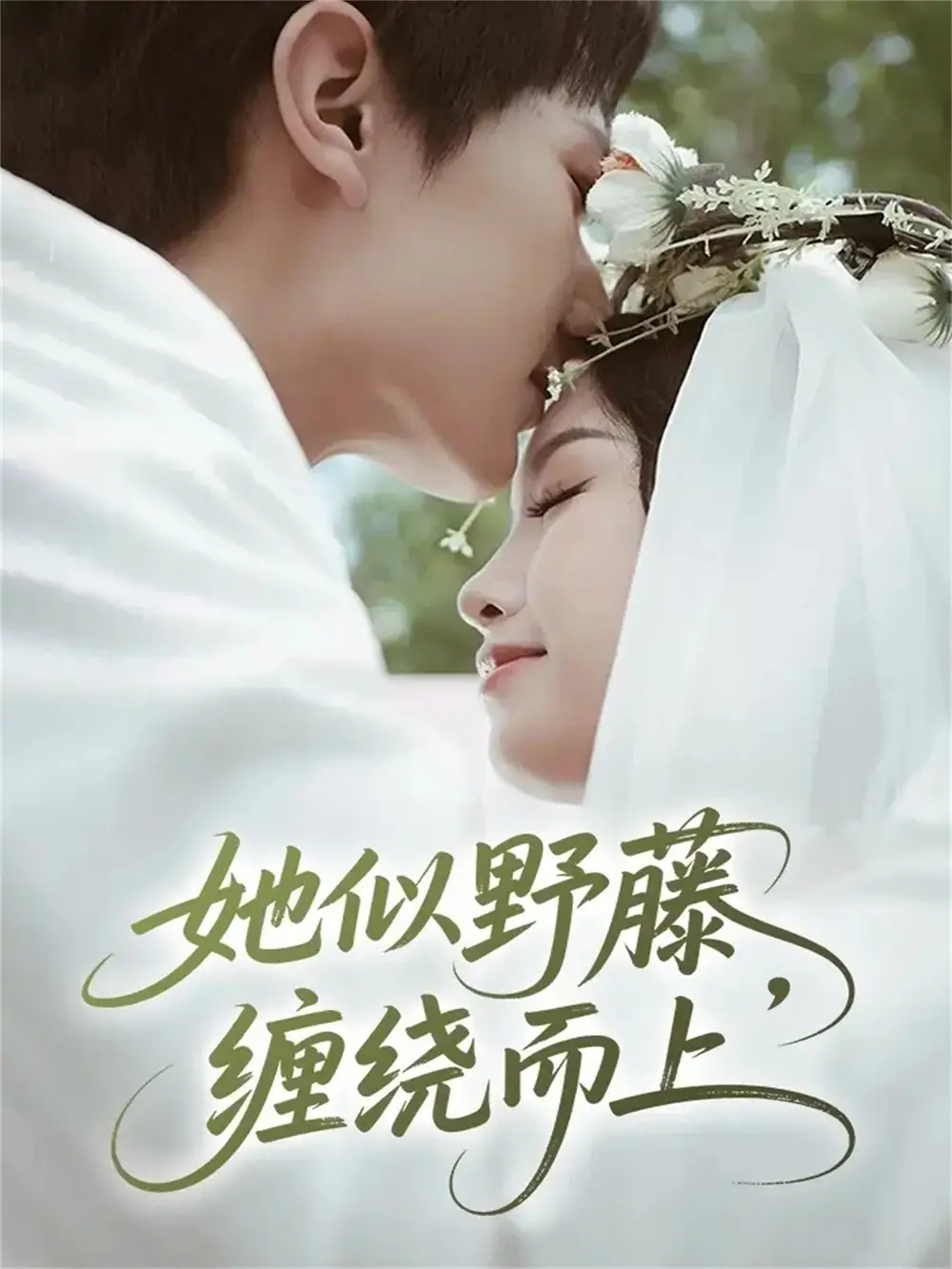 短剧《死亡快递》完整版免费在线观看