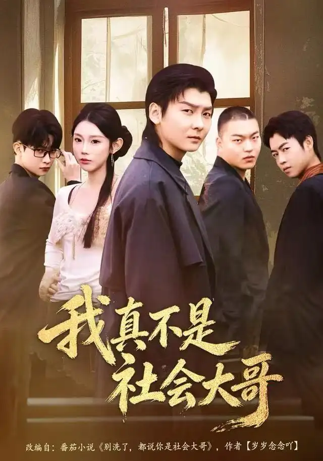 短剧《我真不是社会大哥》完整剧情全集免费在线观看