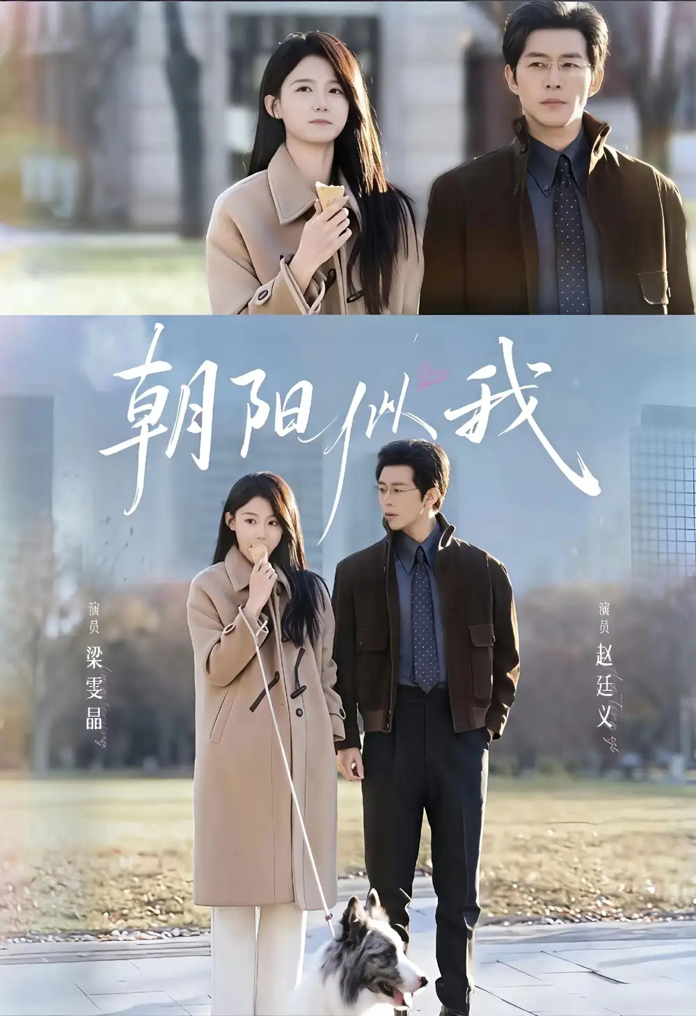 朝阳似我（81集）赵廷义＆梁雯晶海报