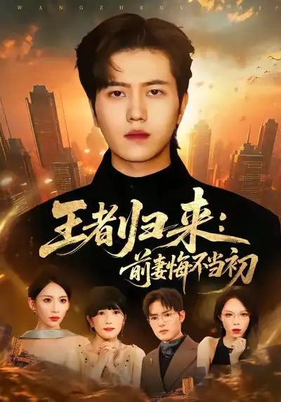 短剧《回望已隔山海》完整版免费在线观看