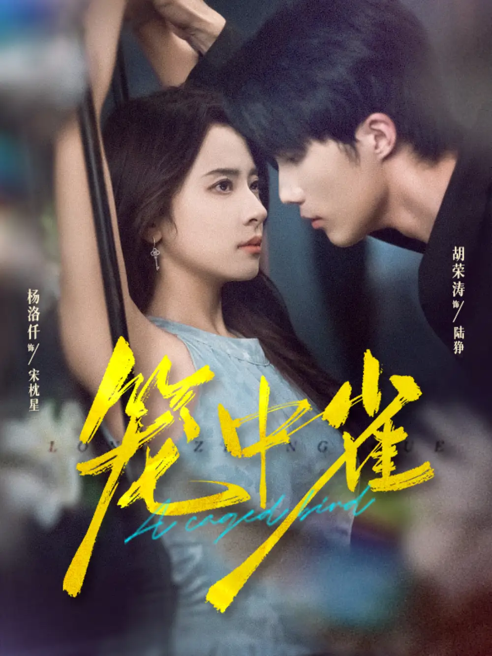 短剧《笼中雀》完整剧情全集免费在线观看