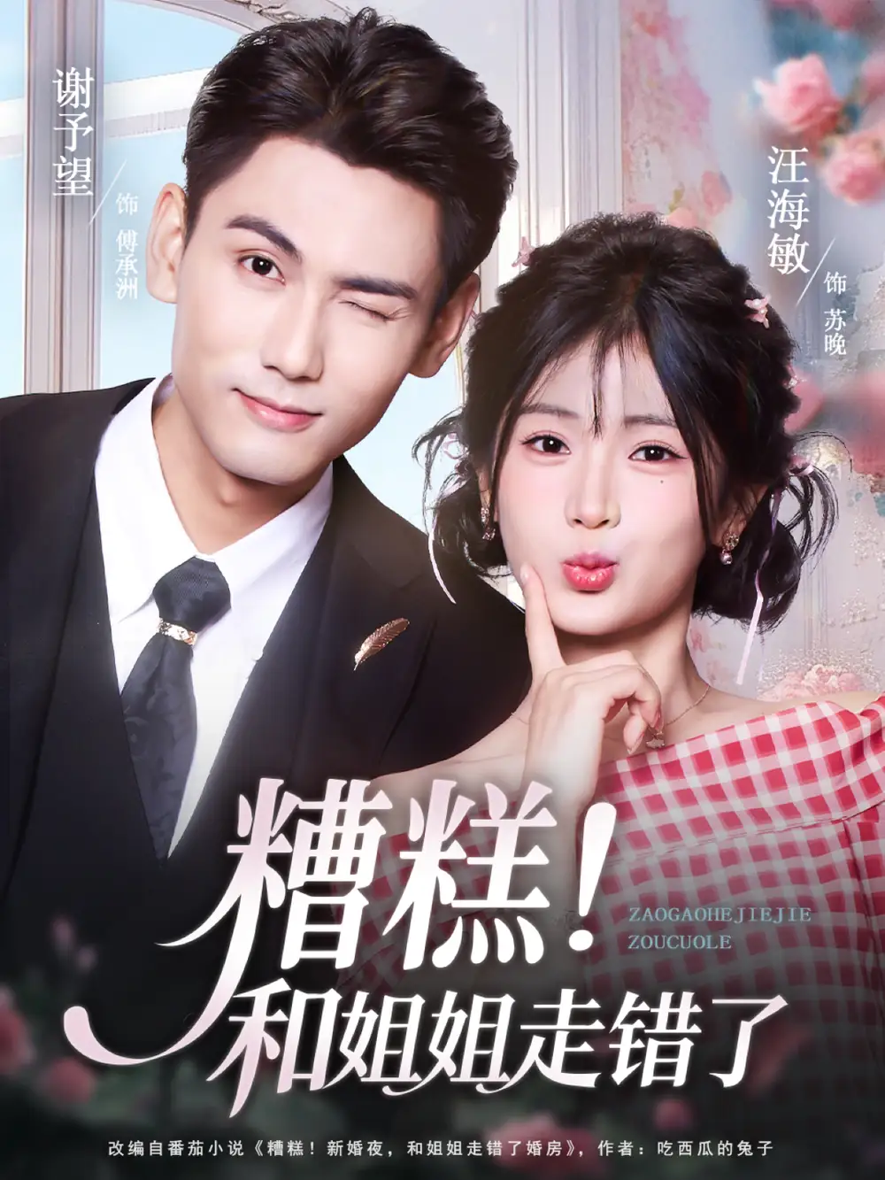 糟糕!和姐姐走错了(124集)谢予望&汪海敏高清海报图片 糟糕!和姐姐走错了(124集)谢予望&汪海敏海报